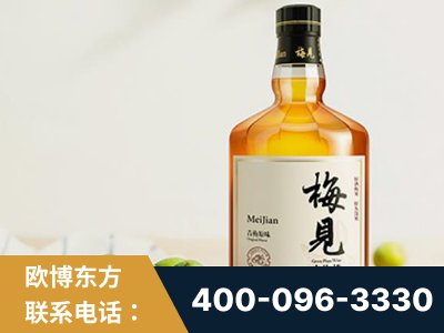 禹州-梅见青梅酒